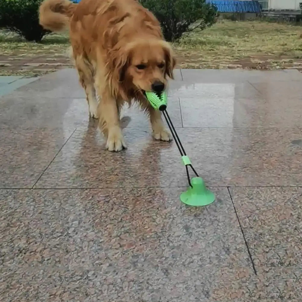 Dog Chew Toys for Aggressive Chewers Interactive Dog Suction Cup Toy Teething Rope Toy Dog Puzzle Treat Food Dispensing Ball Toy