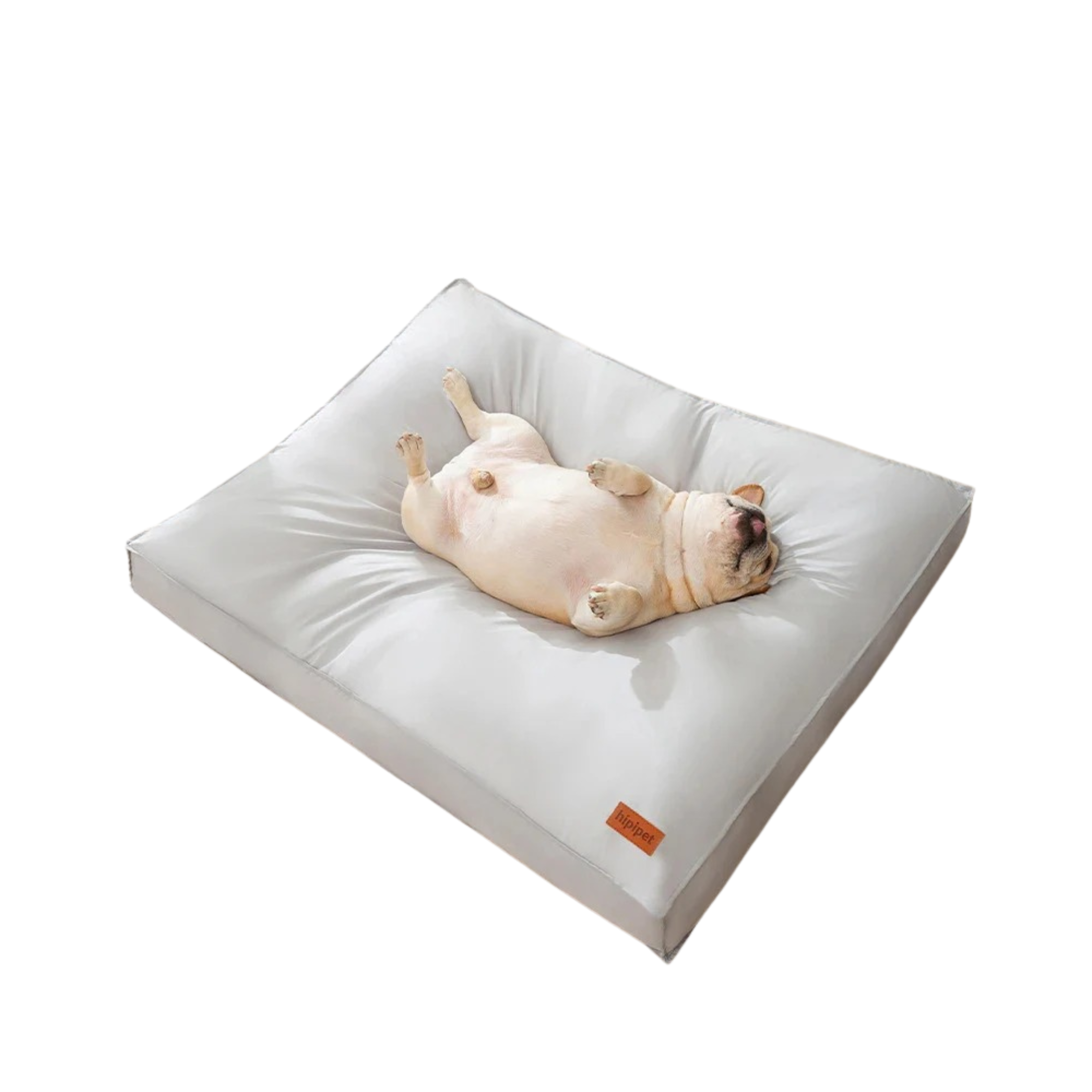 Waterproof Pet Bed for Dogs & Cats
