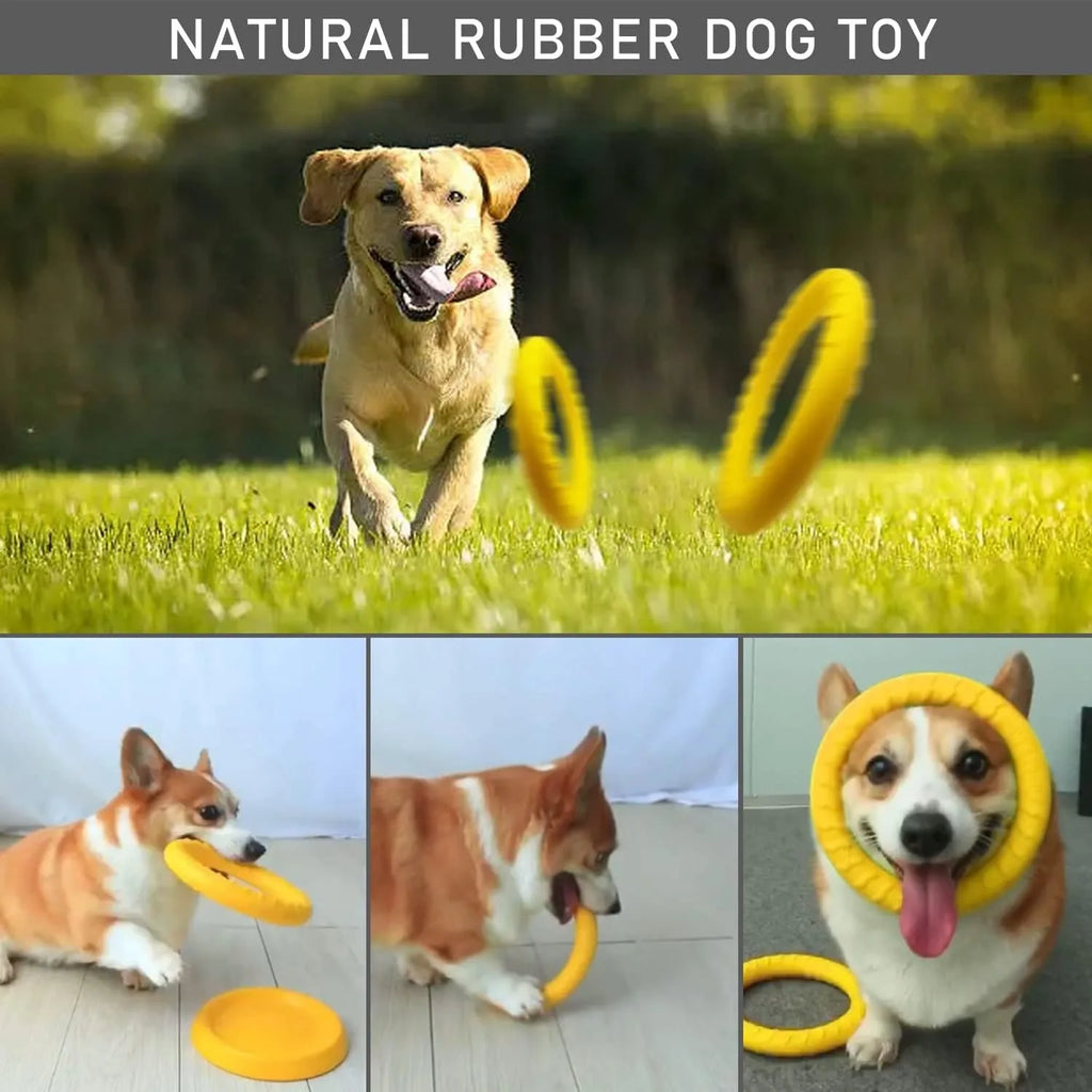 Durable Dog Flying Disc Chew Toy - Floating Fetch Toy for Medium/Large Aggressive Chewers, Interactive Pool Toy for Training & T