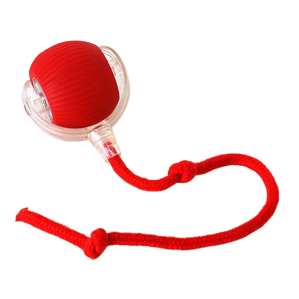 Caterpillar Teasing Cat Toy Motion Activated Kitten Toy Rechargeable Automatic Cat Toy with Tail for Indoor Cats Toy Ball