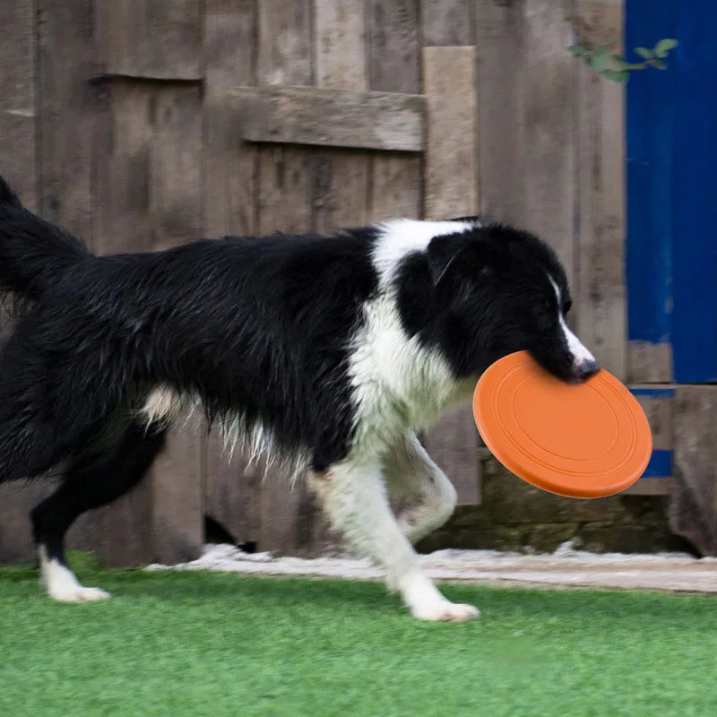 Pet Training Toy Interactive Dog Chew Toys Resistance Bite Soft Rubber Toys Pet Flying Discs Dog