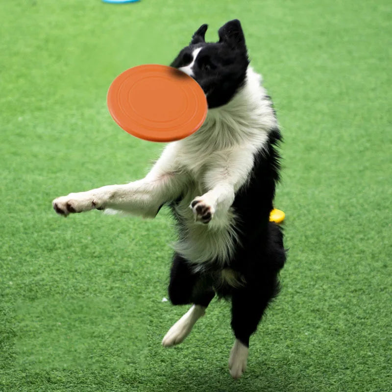 Pet Training Toy Interactive Dog Chew Toys Resistance Bite Soft Rubber Toys Pet Flying Discs Dog